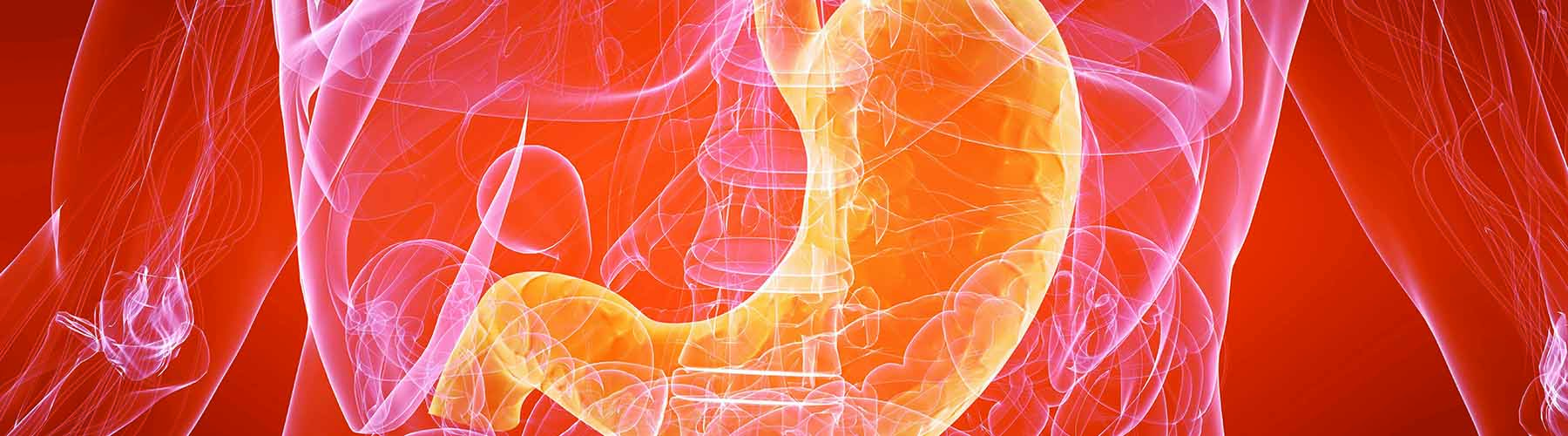 Trastornos del aparato digestivo, metabolismo y sistema endocrino