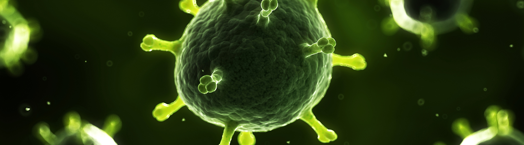 Vacunación frente a rotavirus 5ª edición